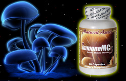 Supplements for Auto Immune System. Supplements for Healthy Immune System. Natural Cancer Cure. Natural Cancer Treatment.  Best Multi Vitamin. Free Radical Equation Solver. 