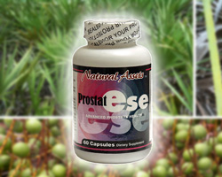 Herbs for Prostate Health. Prostate Problems Symptoms.  
					Saw Palmetto Benefits & Side Effects. 